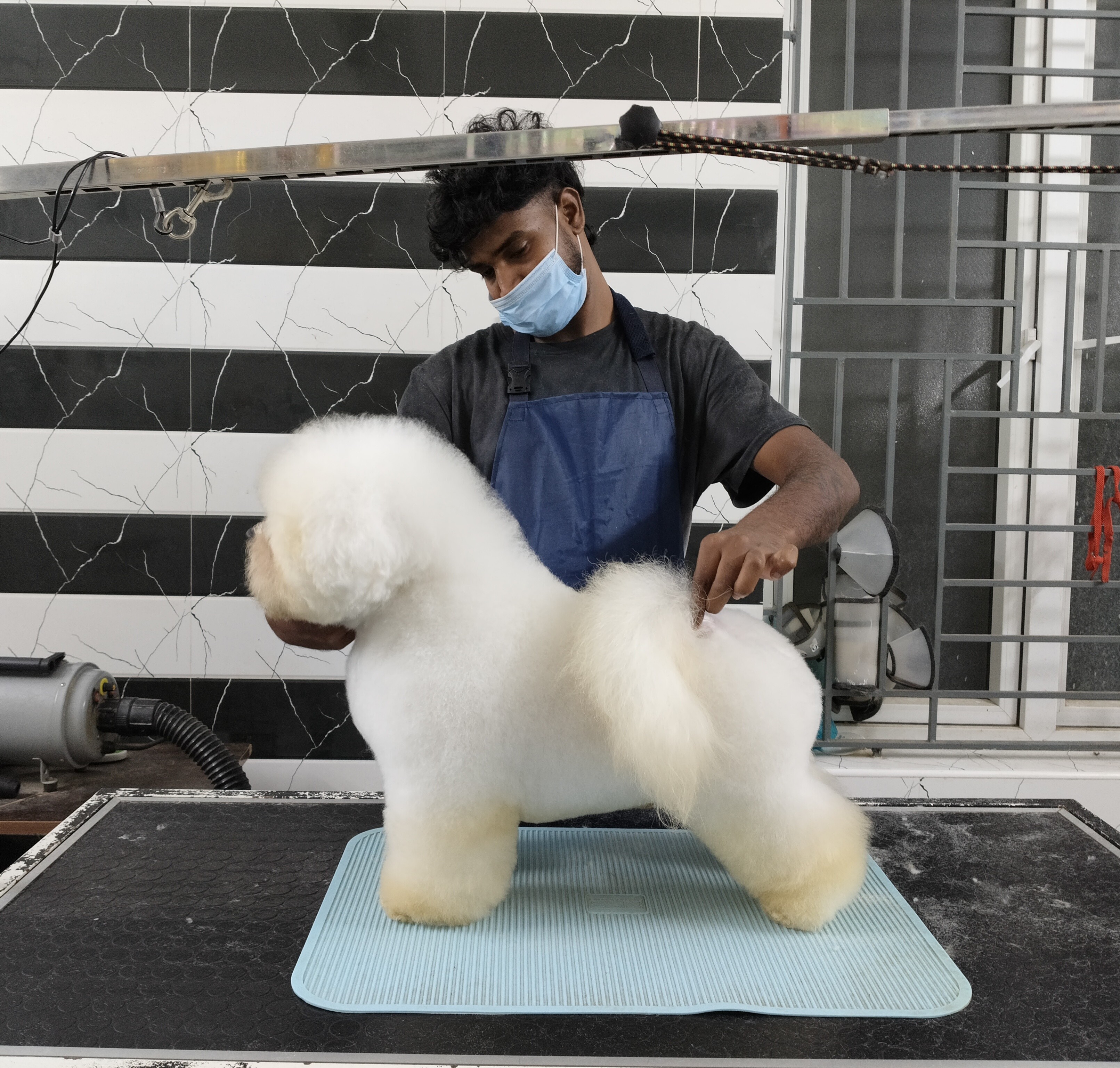 Artisan Grooming