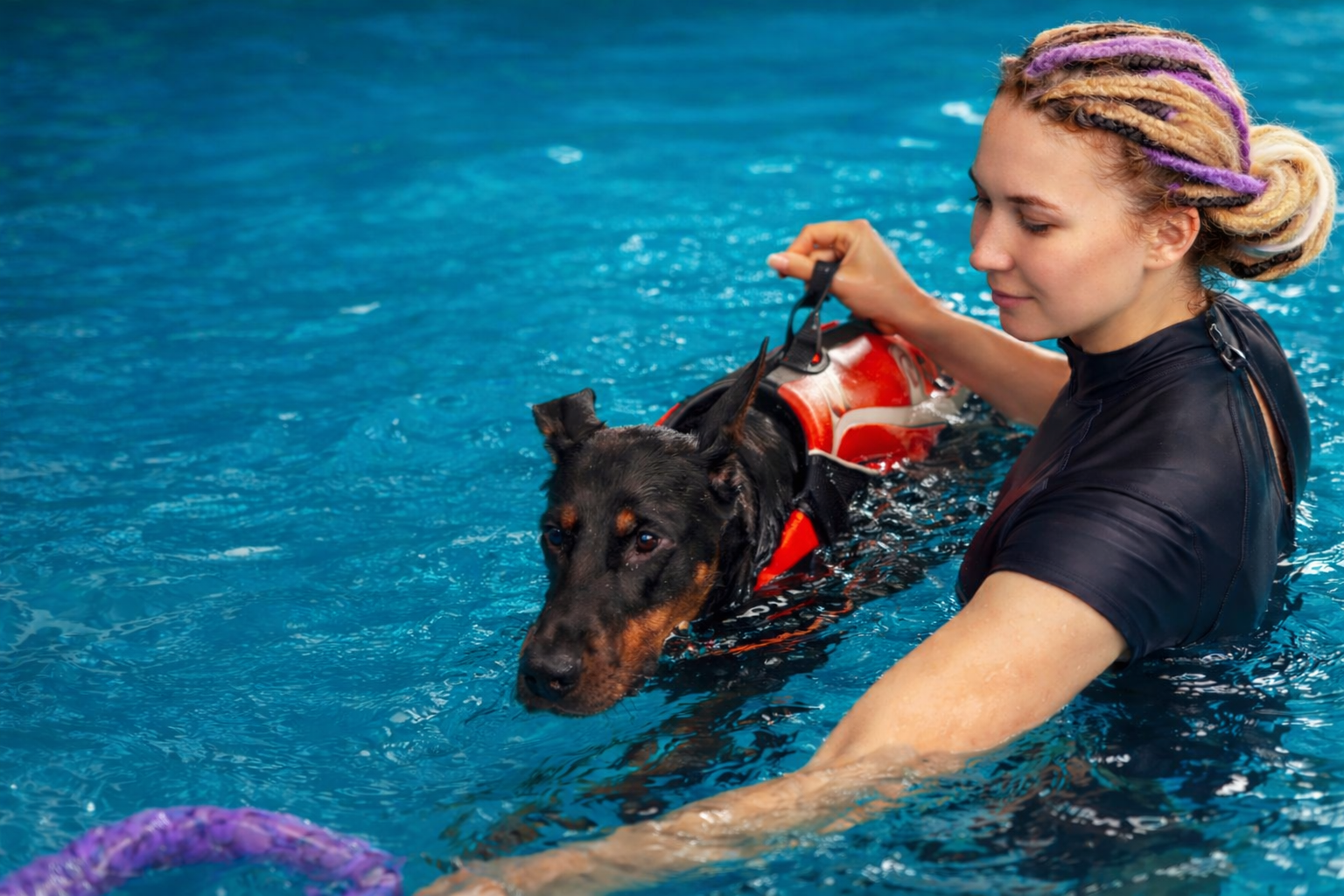 Training puppies and pet swimming